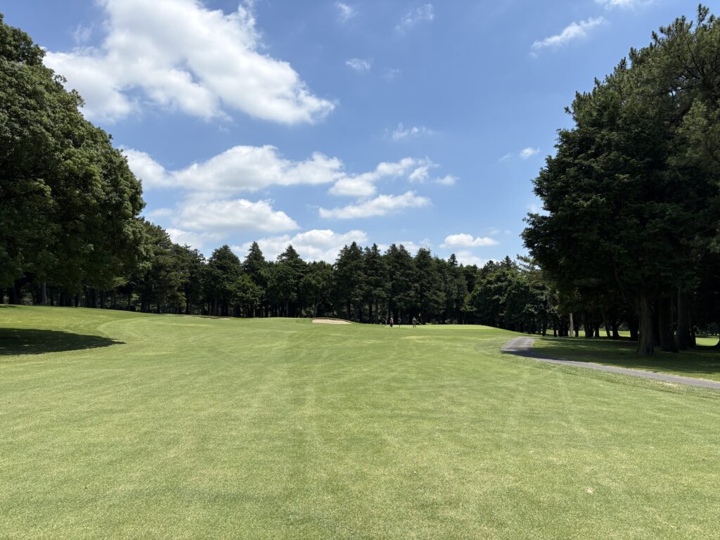 nakayama No.8