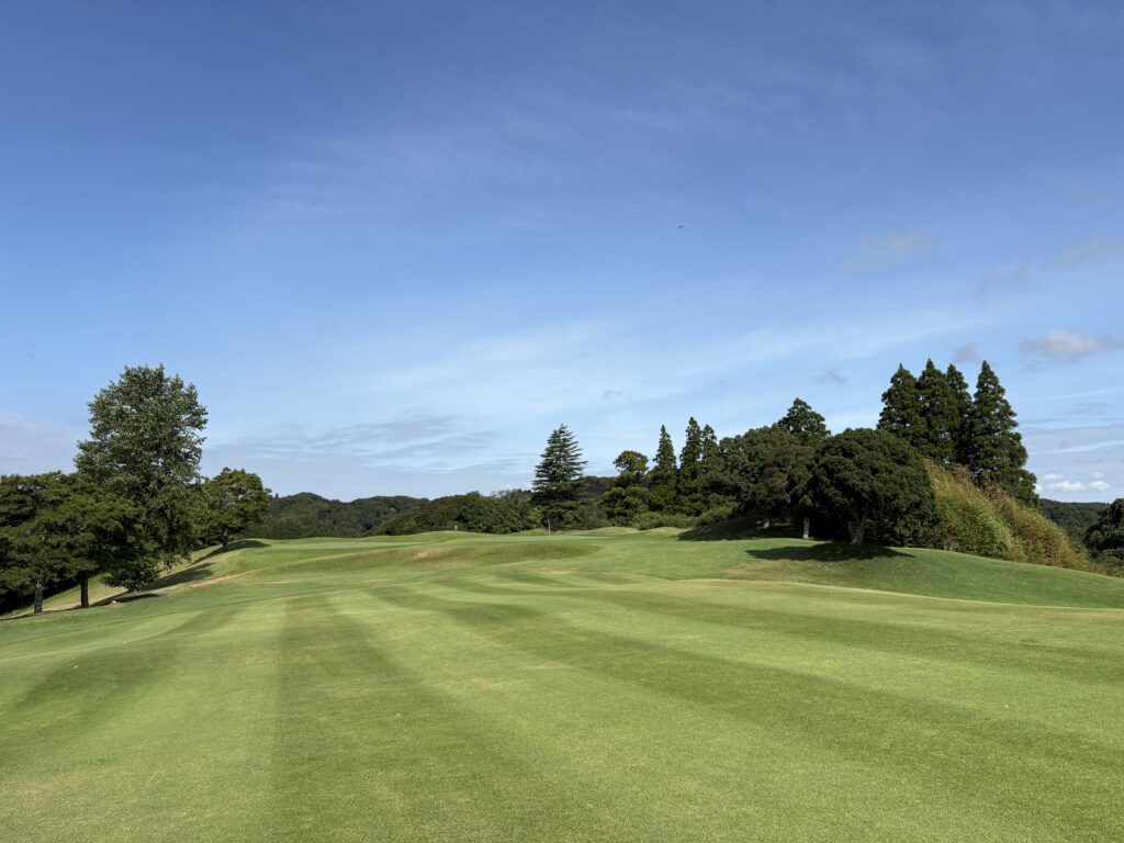 ベルセルバCC市原C楓No.06