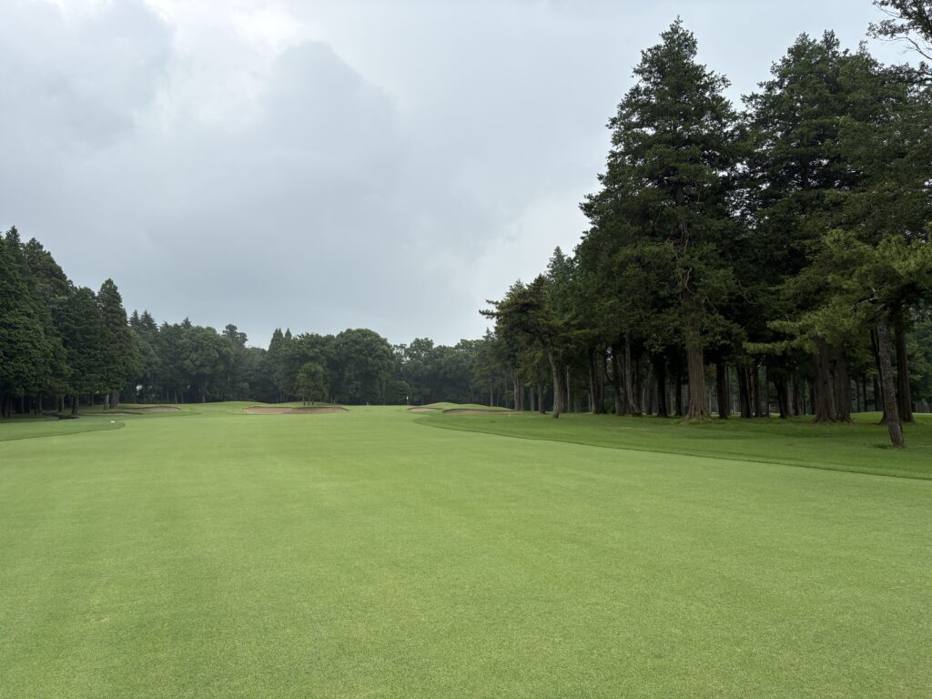 総武コース東No.1