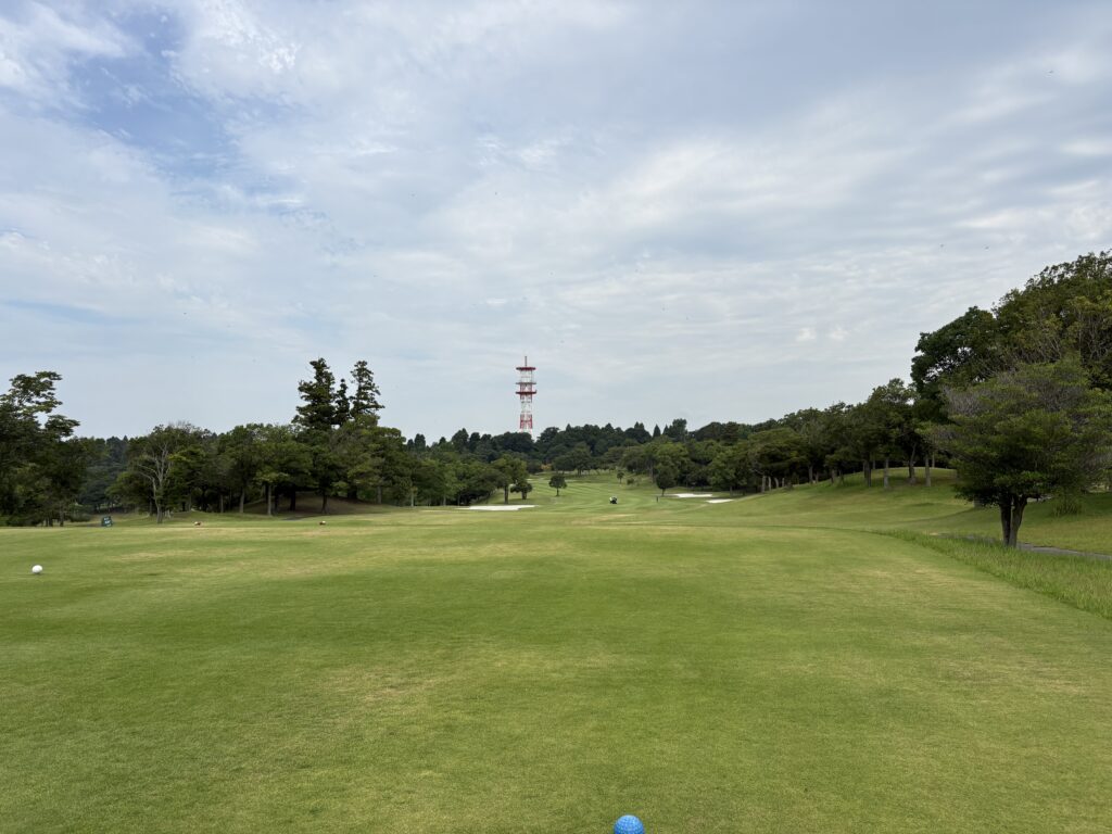立野CGCNo.6