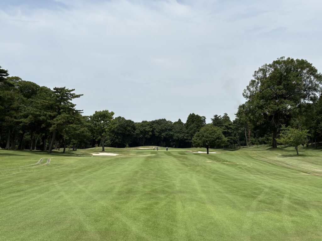 立野CGCNo.11