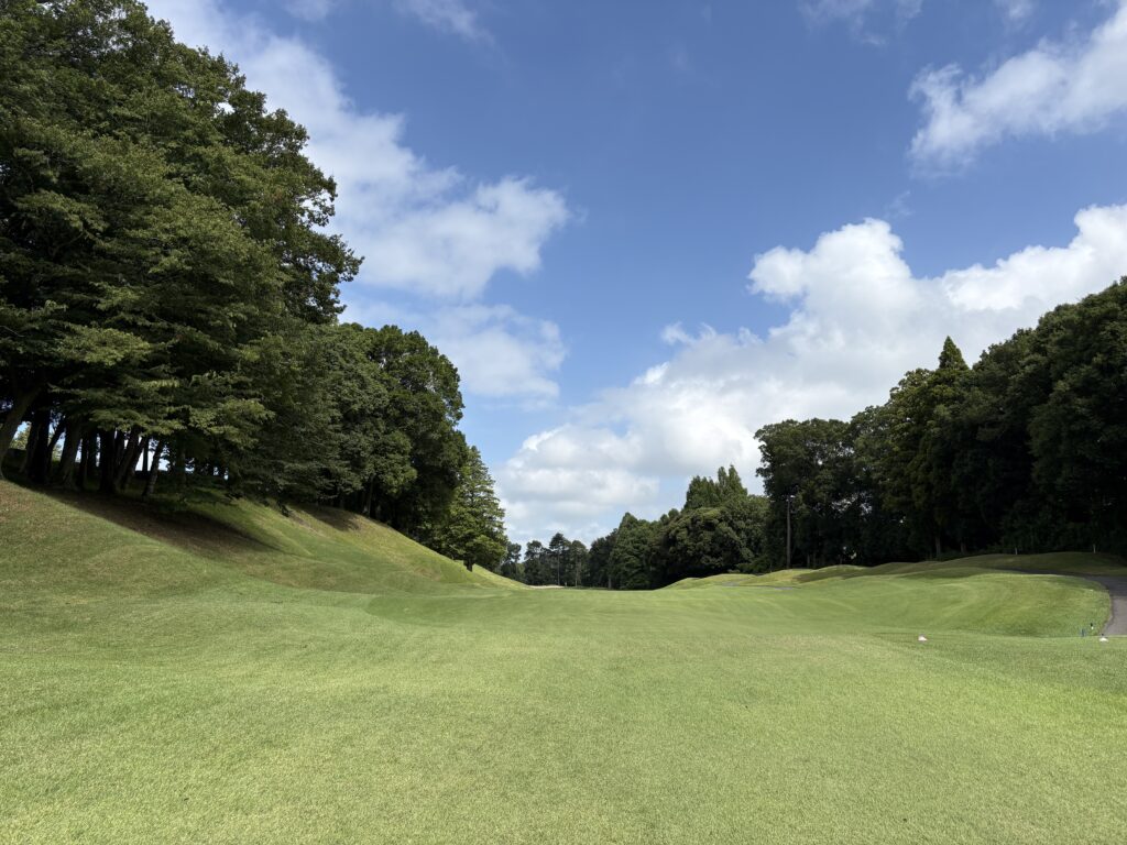 印旛コースNo.15