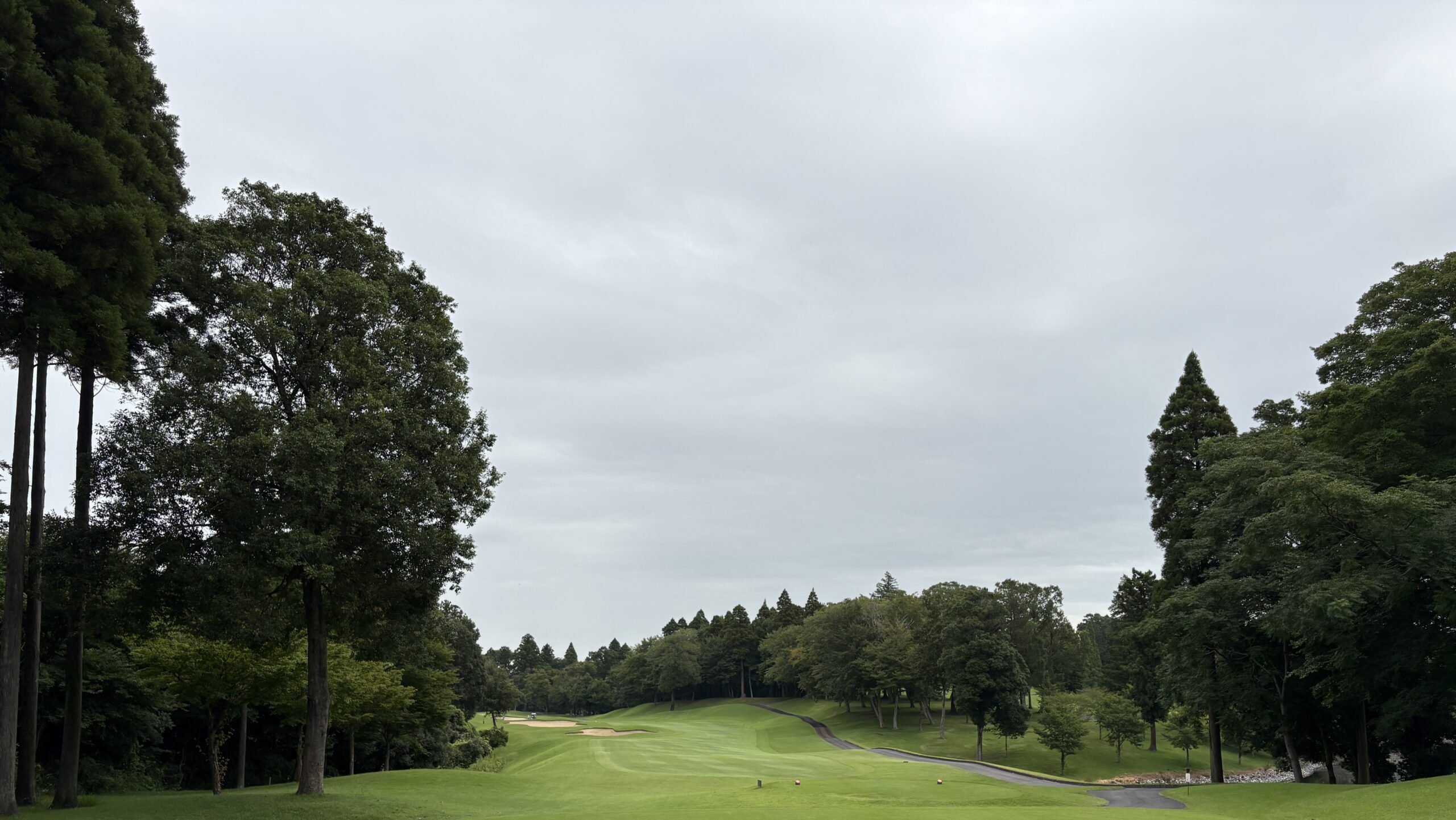 麻倉Hole1