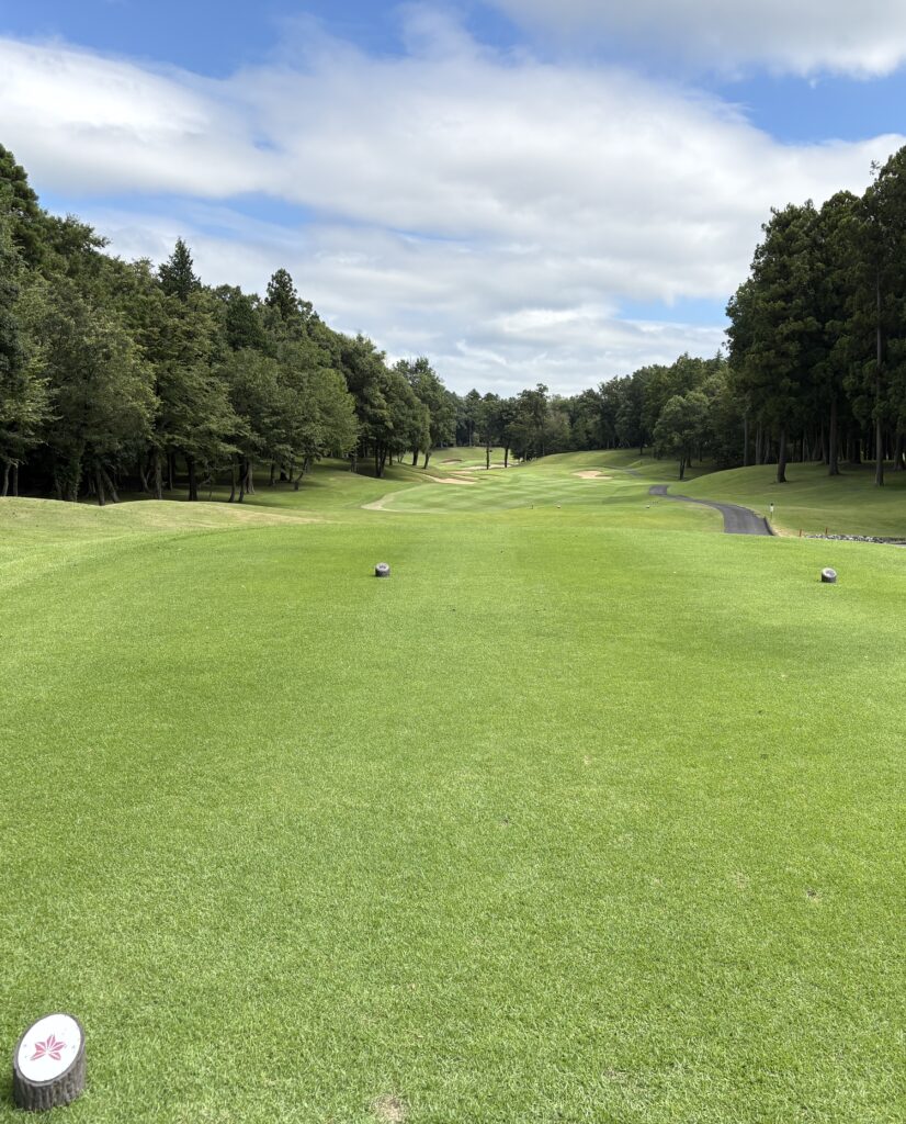 麻倉Hole18