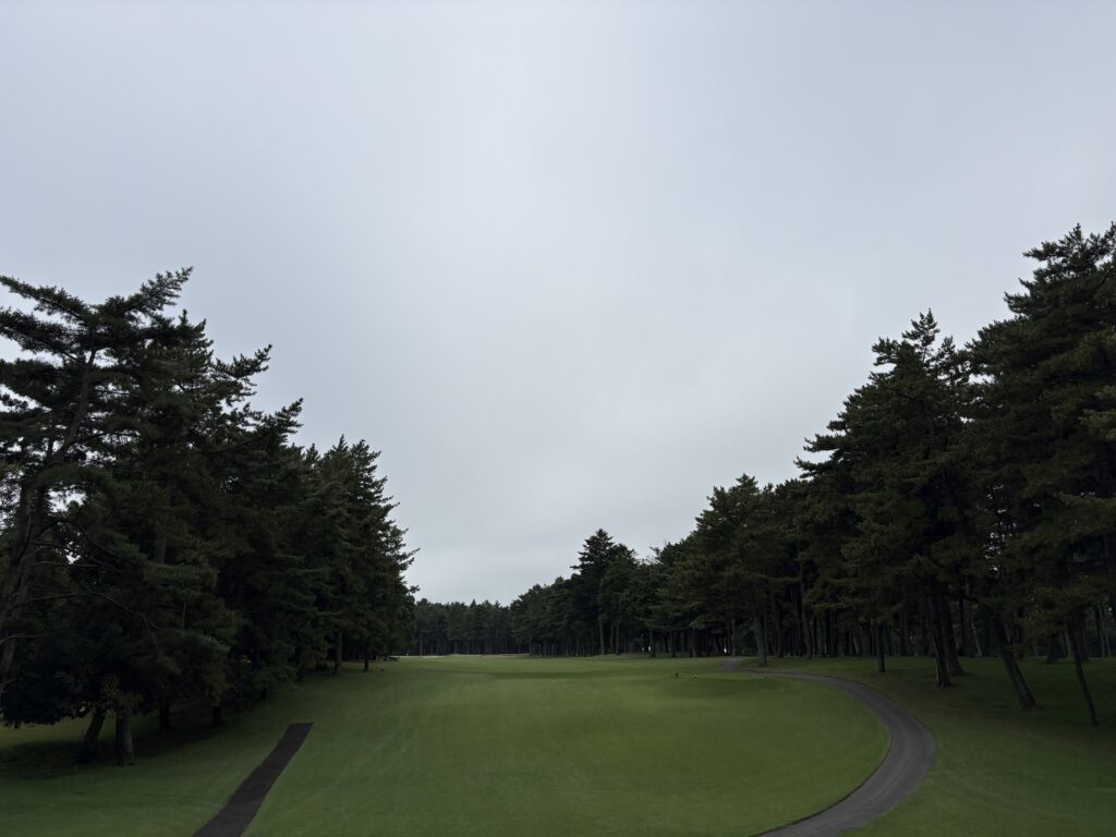 中コースNo.12