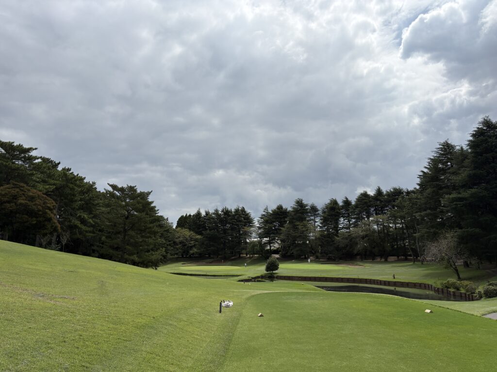 中山No.5
