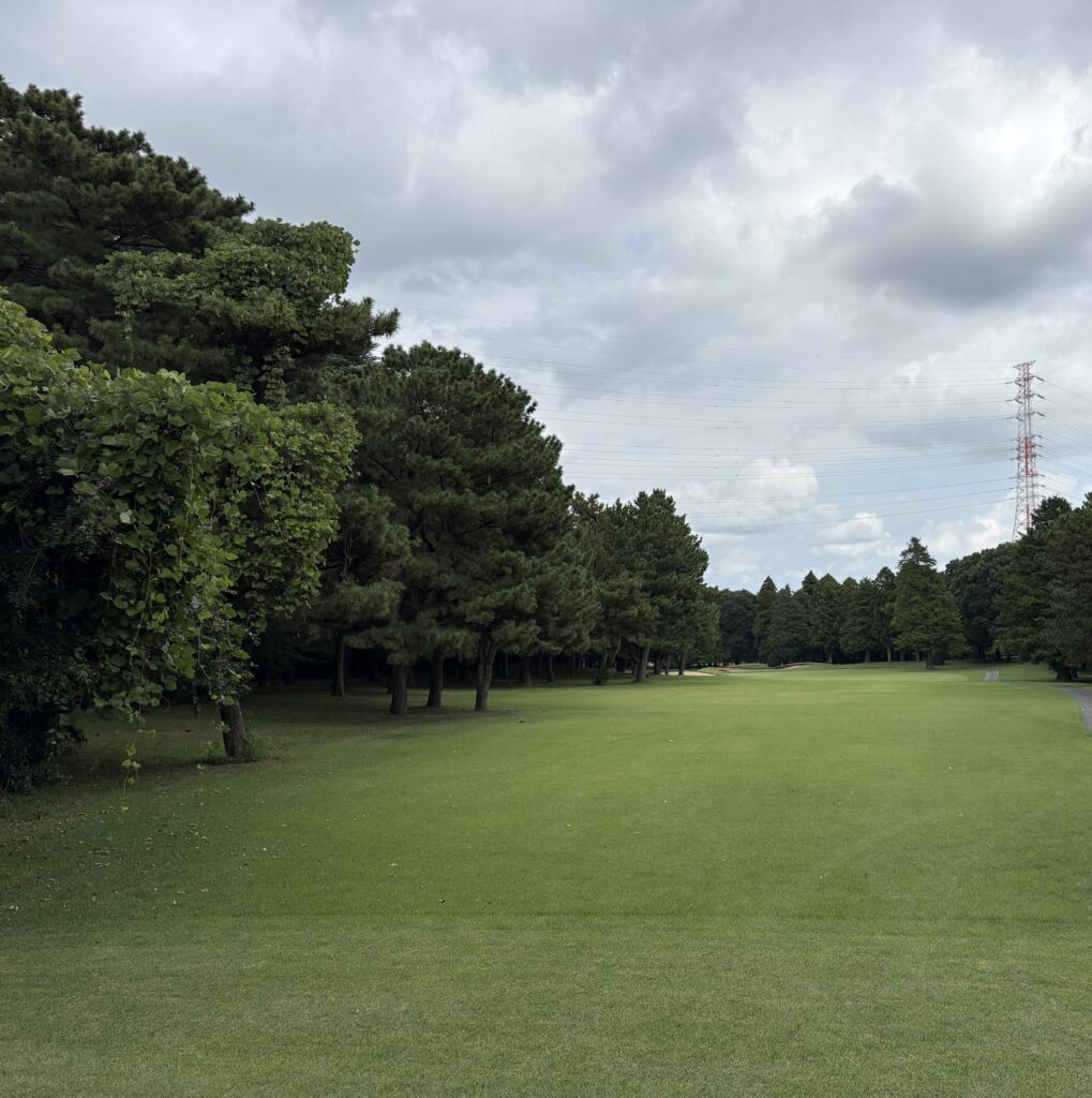 中山No.11