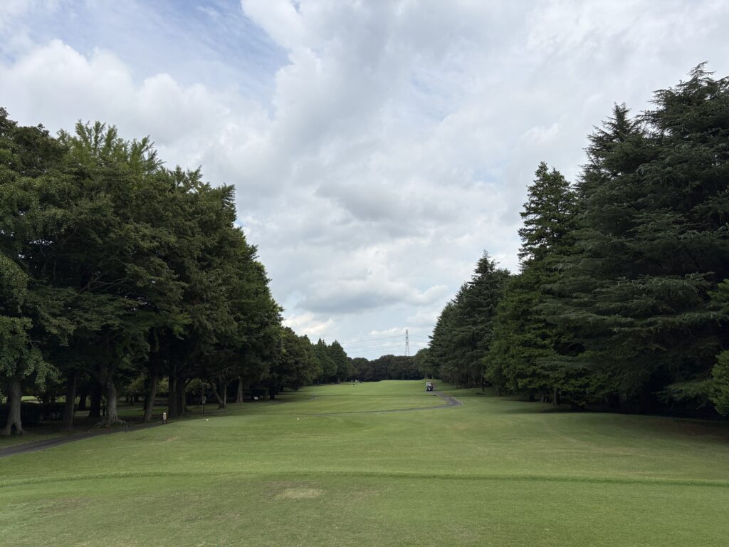 中山No.12