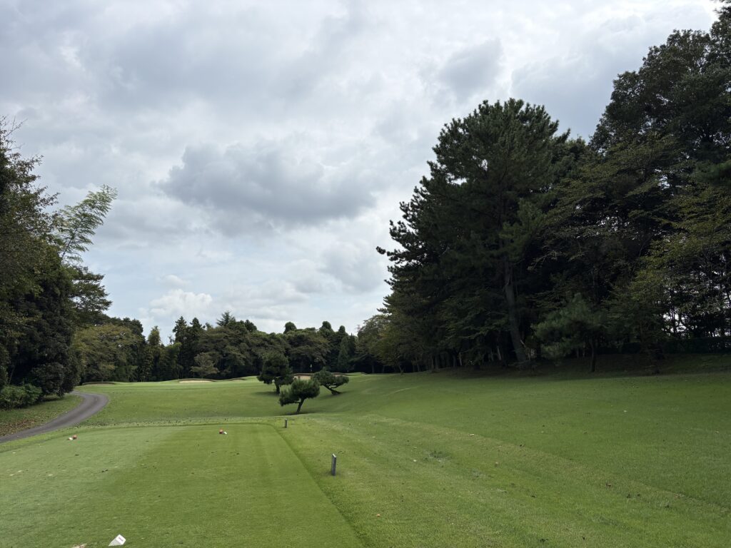 中山No.15