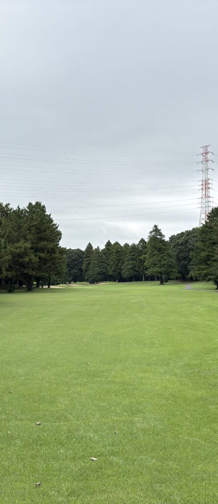 中山No.11