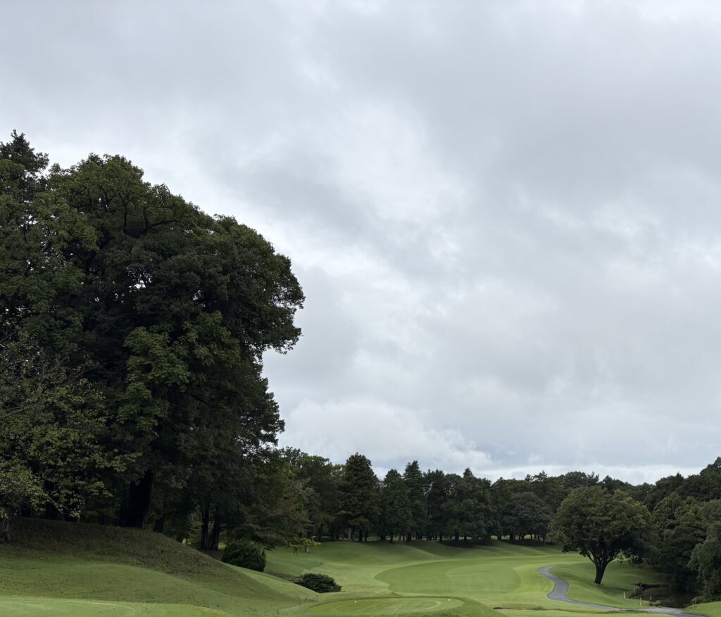 印旛コースNo.9