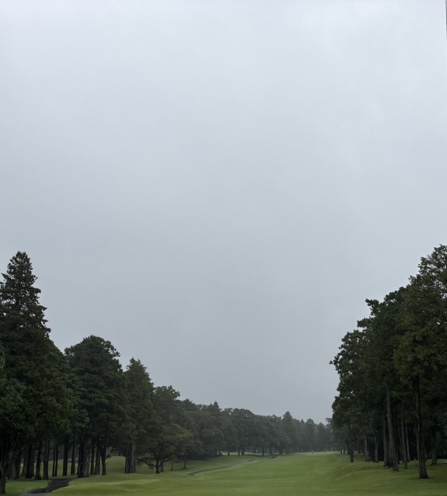 印旛コースNo.11