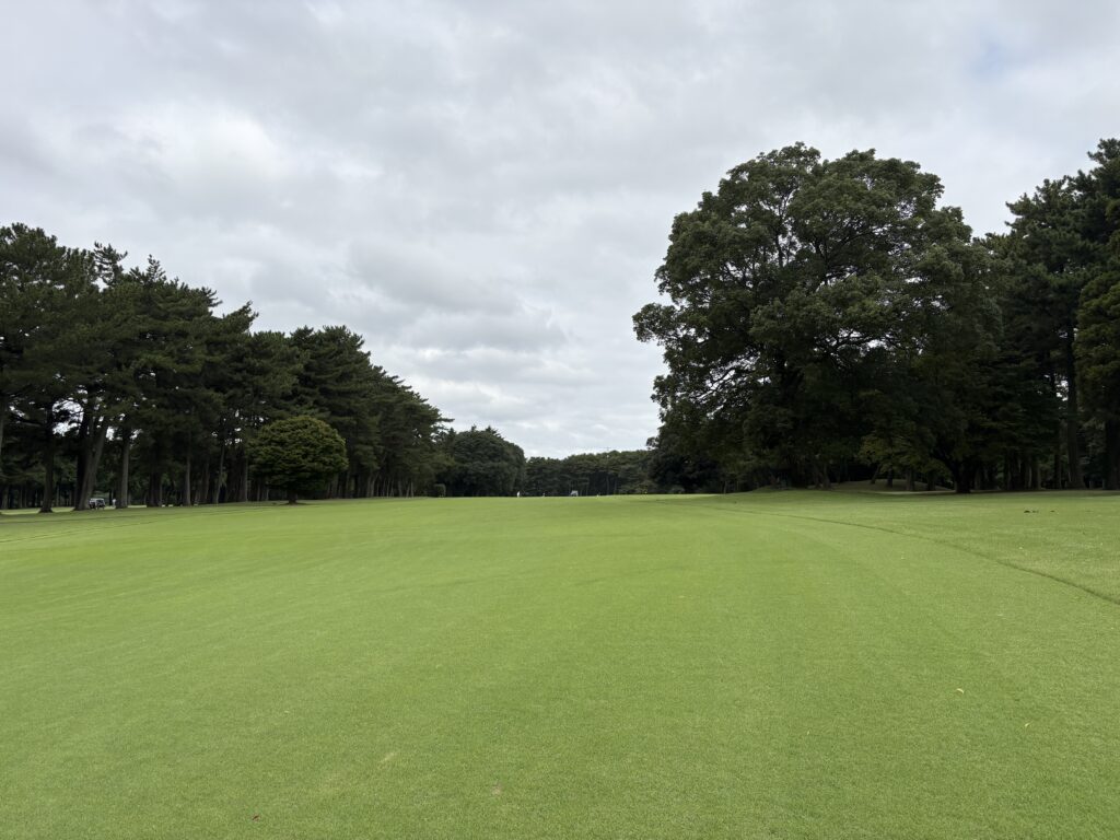 中山No.1