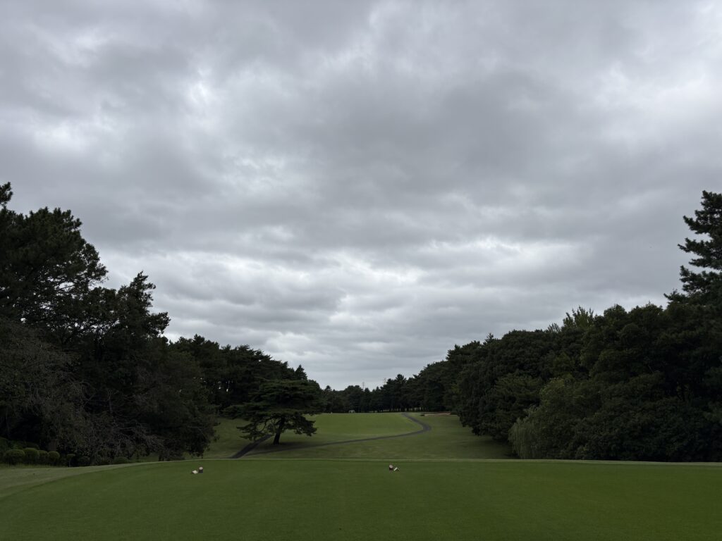 中山No.6