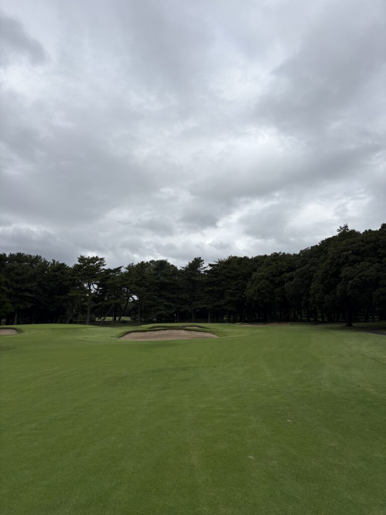 中山No.6