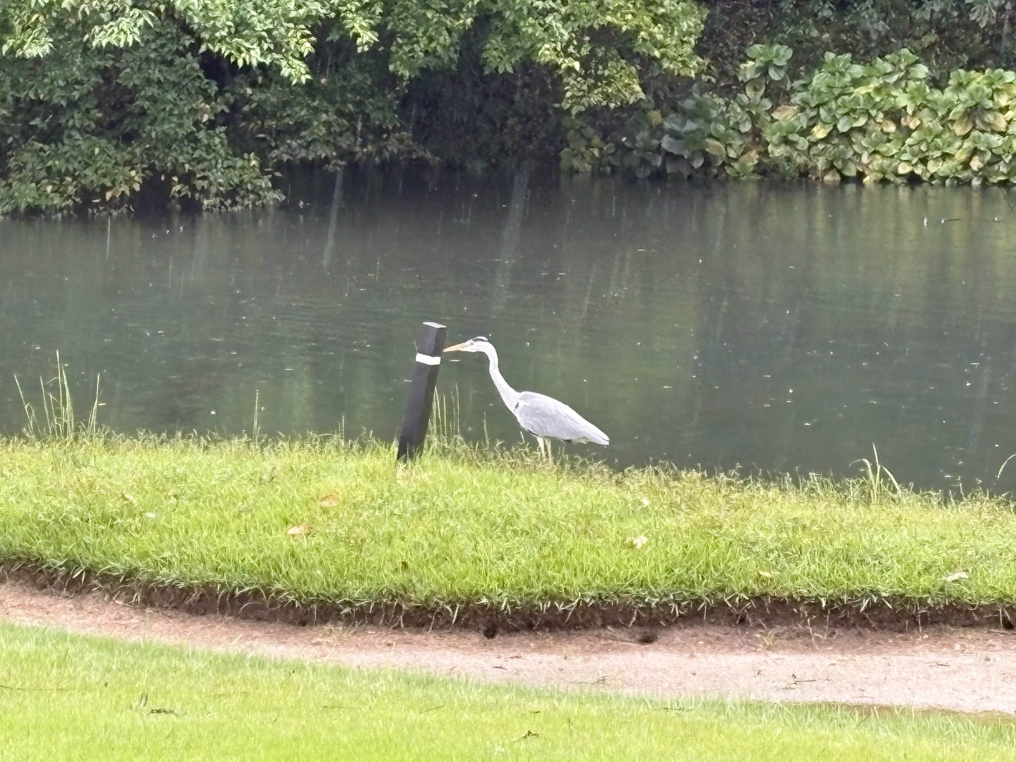 印旛コースNo.4